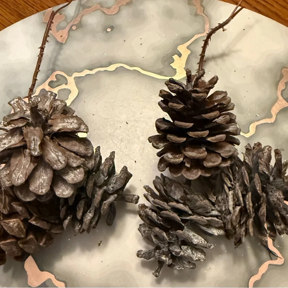 Rustic Pine Cone Set & Beads & Garland
